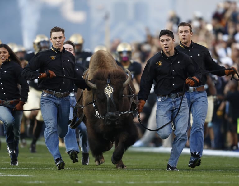 colorado.rivals.com